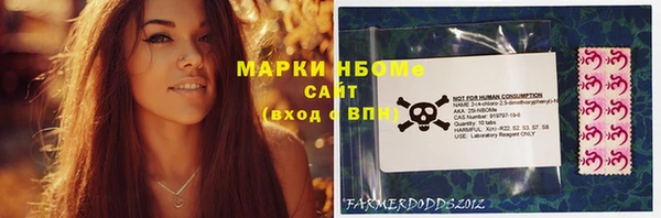 стаф Аркадак