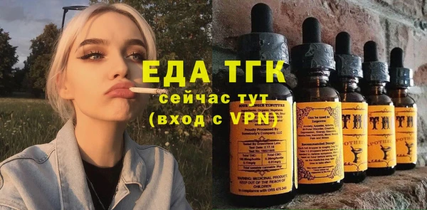 стаф Аркадак