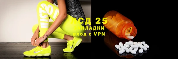 стафф Алзамай
