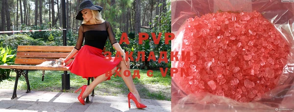стаф Аркадак