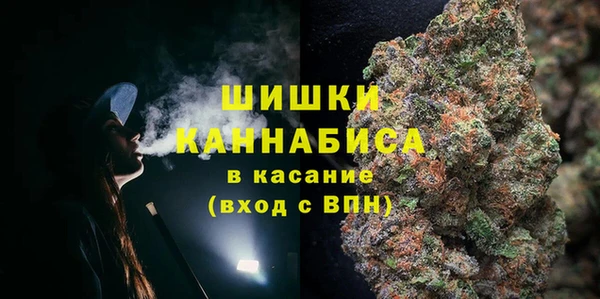 стаф Аркадак