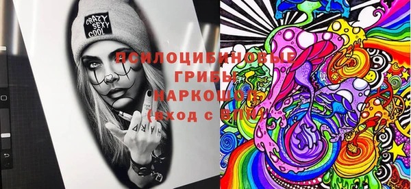 стаф Аркадак