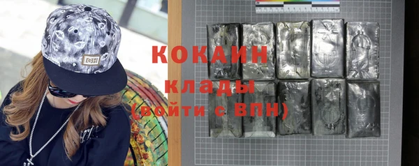 стаф Аркадак