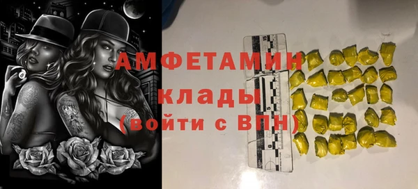 стаф Аркадак